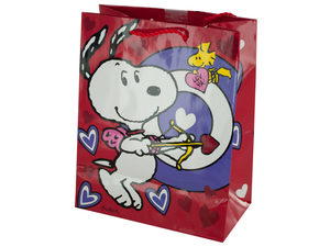 Snoopy Bullseye Valentineand#039;s Gift Bag